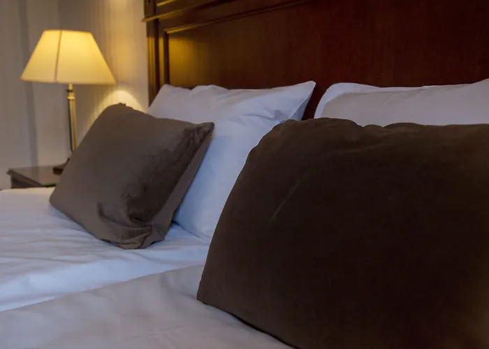 Fleischer's Motel Voss